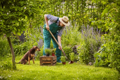 Tree surgeons planning safe arboricultural work with protective equipment
