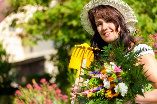 Local tree surgeons providing expert tree maintenance in Crouchend