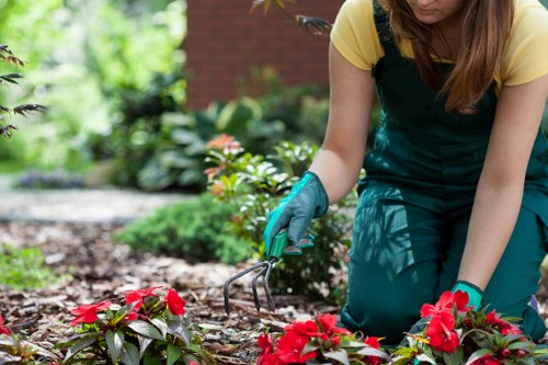 Secure Tree Surgeons Crouchend payment options displayed with protected checkout features