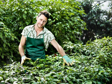 Summary of Tree Surgeons Crouchend cookie policy