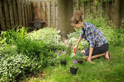 Free quote policy for tree surgeons serving Crouch End homes