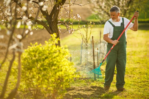 Careful hedge maintenance for a property in Crouch End